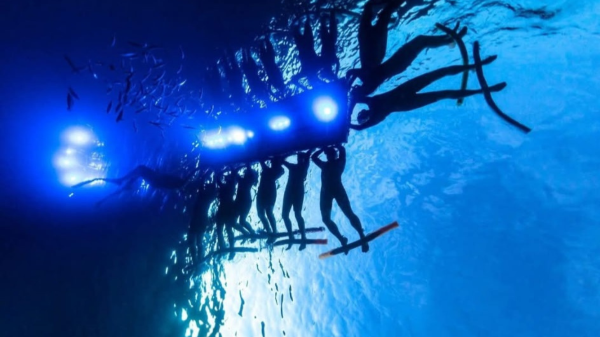 Manta Village vs. Manta Heaven: Which Kona Snorkel Is Best?
