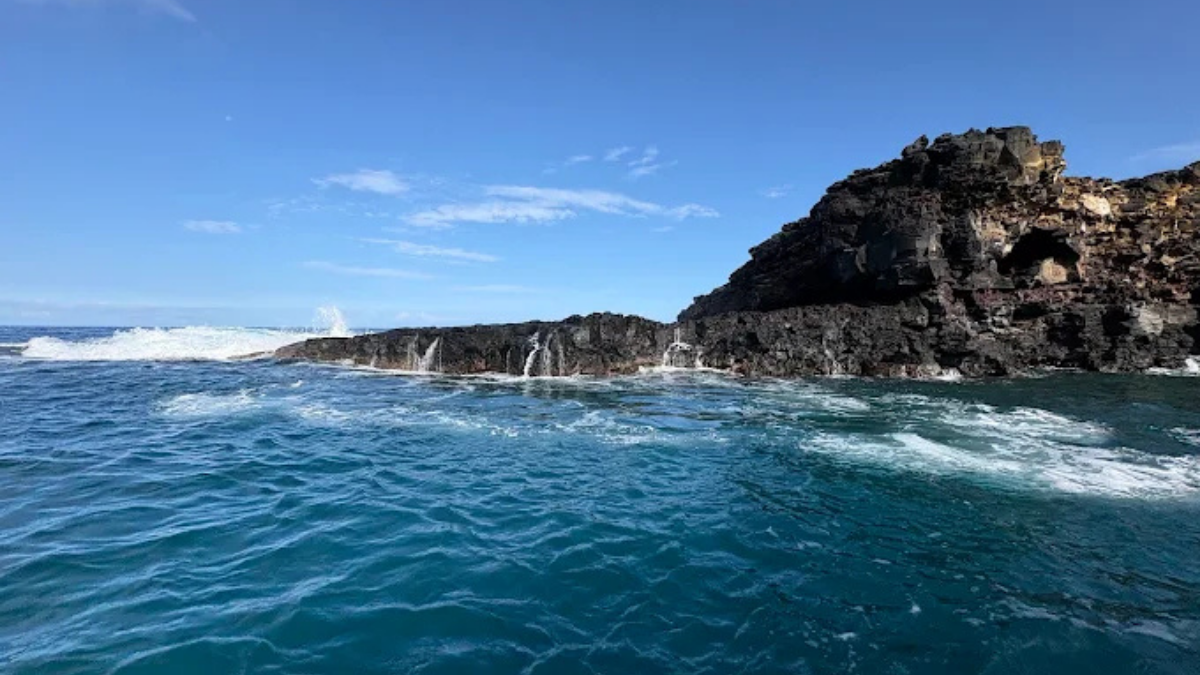 Shared vs. Private Kona Boat Tours: Is Upgrading Worth It?