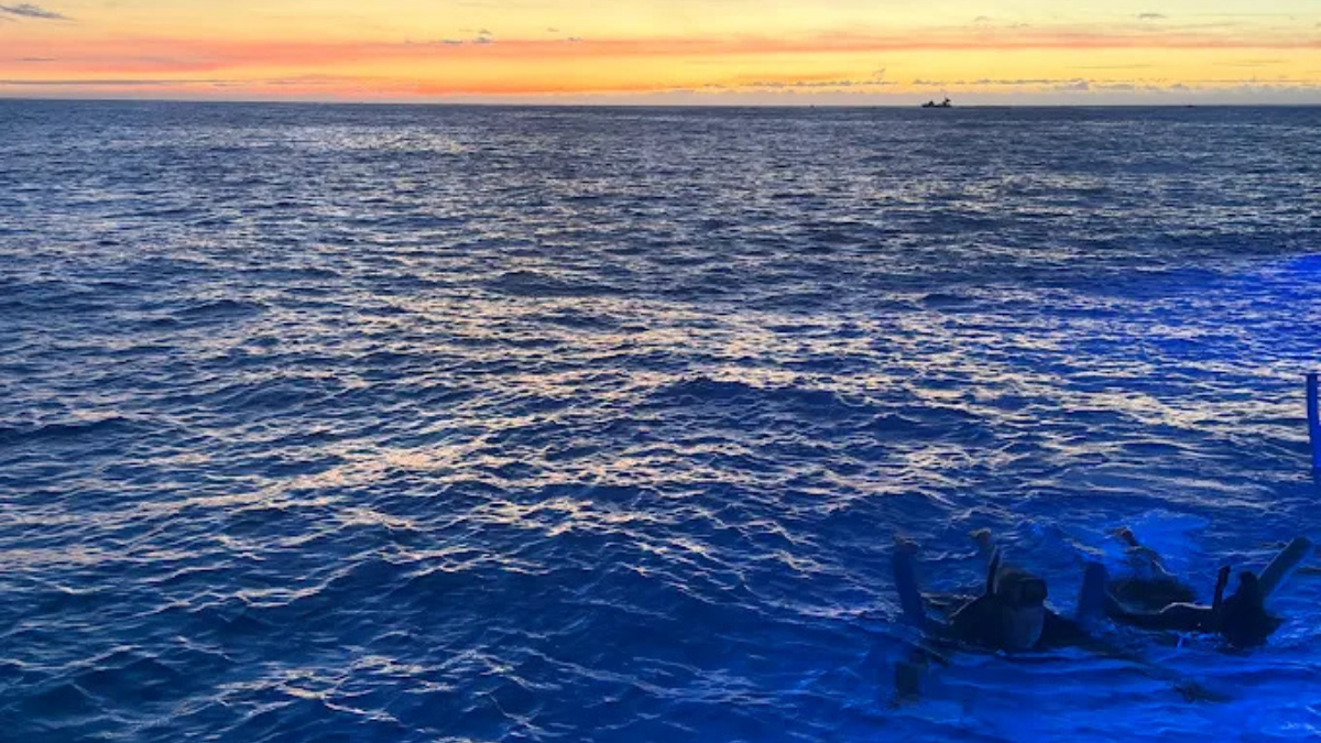 August Kona Manta Ray Snorkel: Summer Conditions & Tour Guide