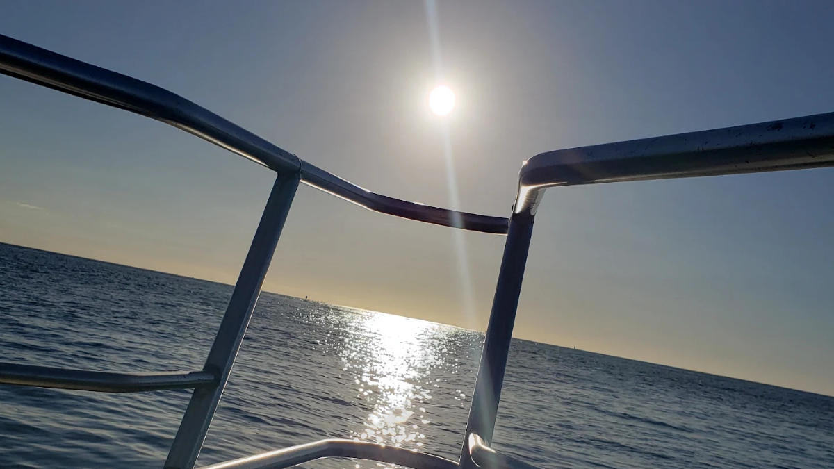 Sunlight on Water