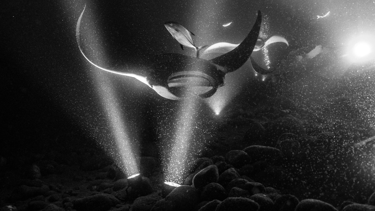 Sunlight on Water
