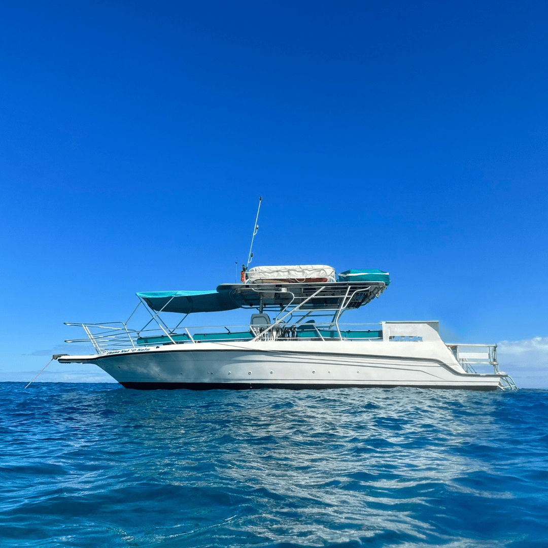 Why a Private Boat Charter in Kona Is Worth It