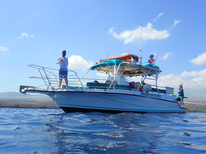Manta Ray & Kona Ocean Tours | Sunlight on the Water