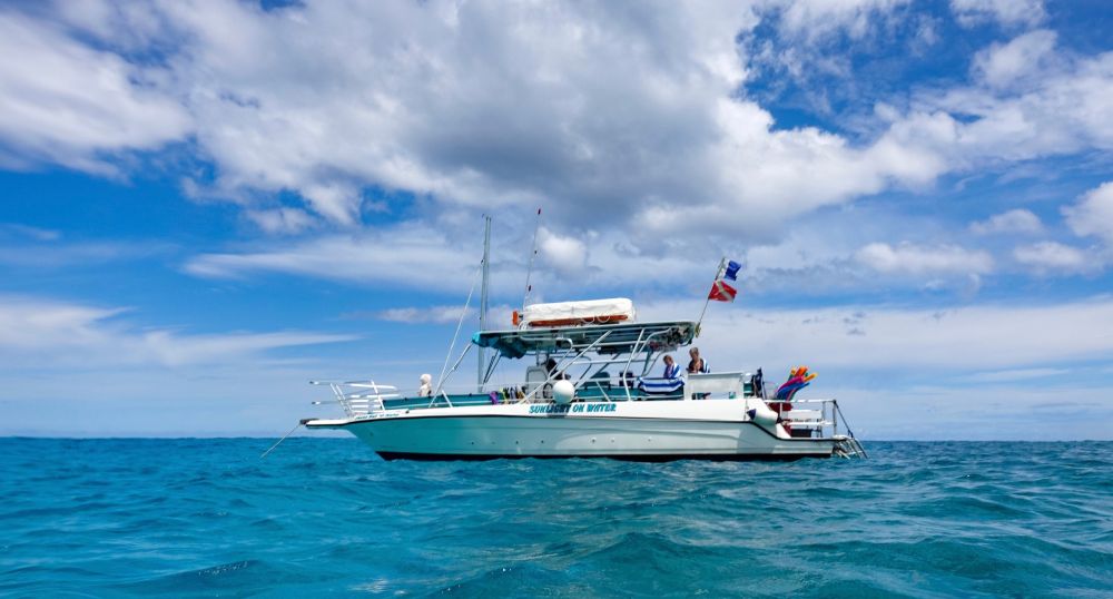 Manta Ray & Kona Ocean Tours | Sunlight on the Water