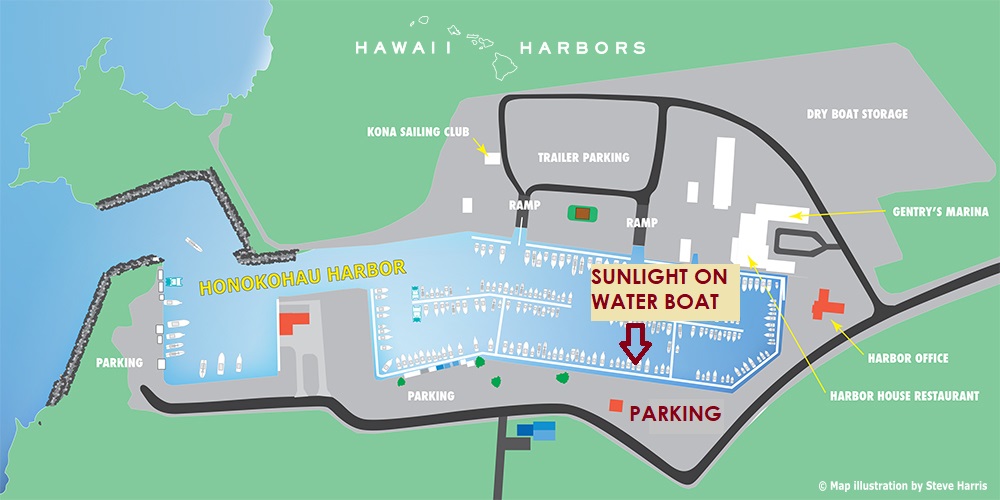 Manta Ray & Kona Ocean Tours | Sunlight on the Water