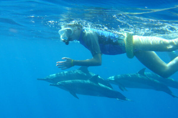 Manta Ray & Kona Ocean Tours | Sunlight on the Water