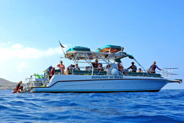 Manta Ray & Kona Ocean Tours | Sunlight on the Water