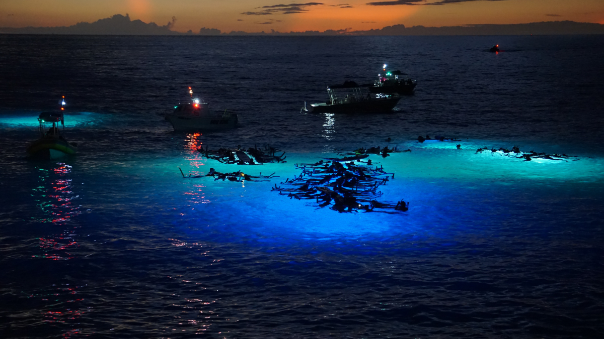 Why May Is the Best Time for Kona Manta Ray Tours