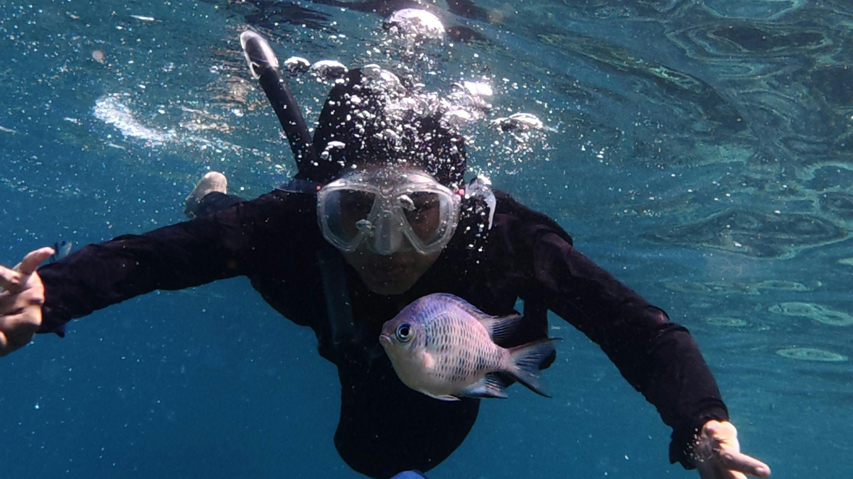 Snorkel vs Scuba Manta Rays in Kona – Which Is Best?