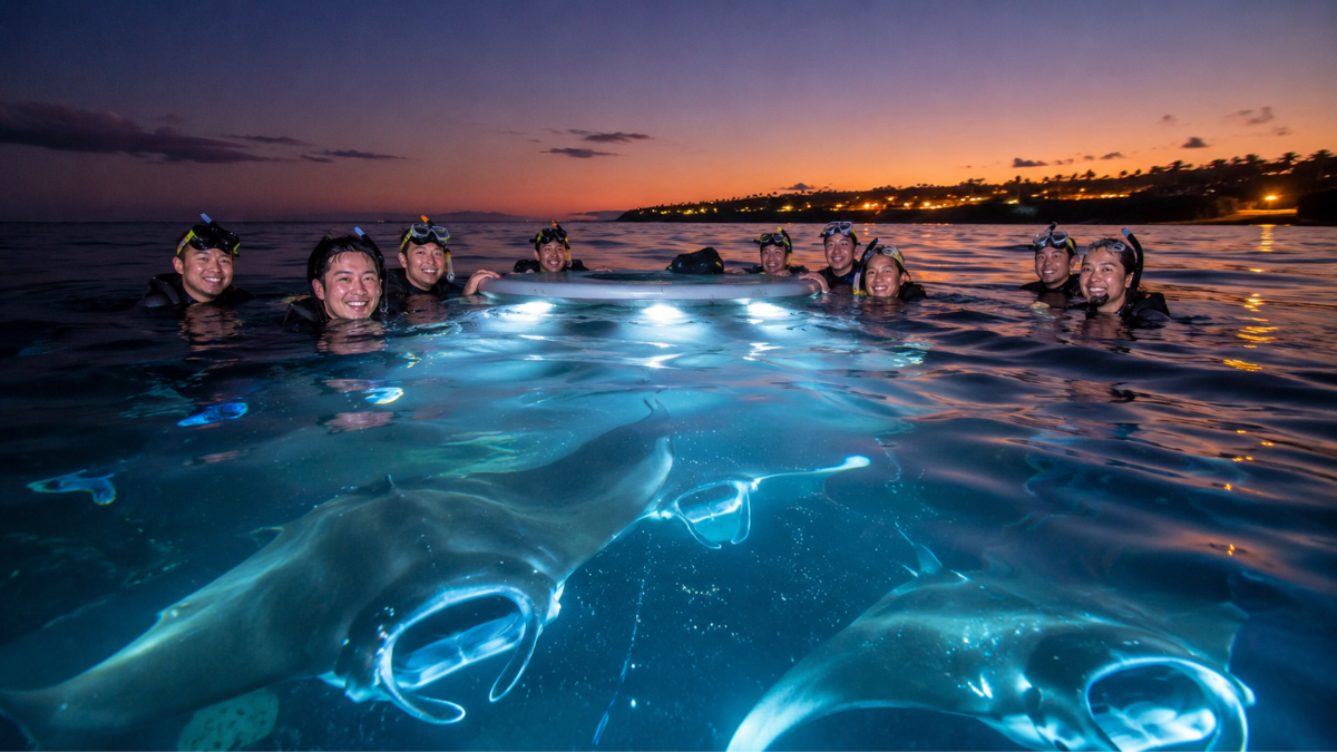 Manta Village vs Manta Heaven Kona: Best Night Snorkel Sites