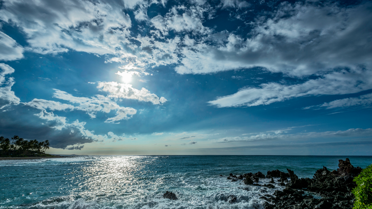 Sunlight on Water