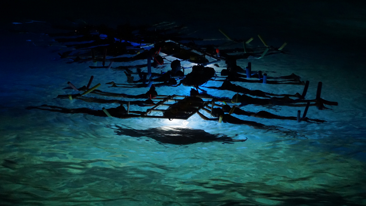 Sunlight on Water
