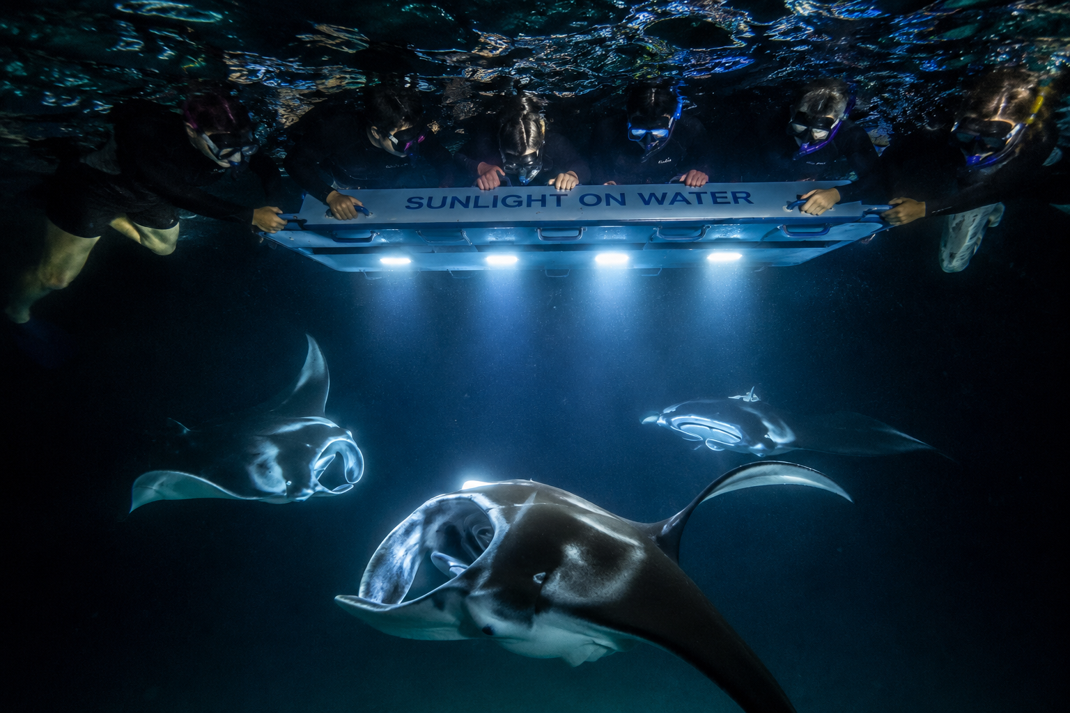What to Expect on a Kona Manta Ray Tour: Step-by-Step Guide