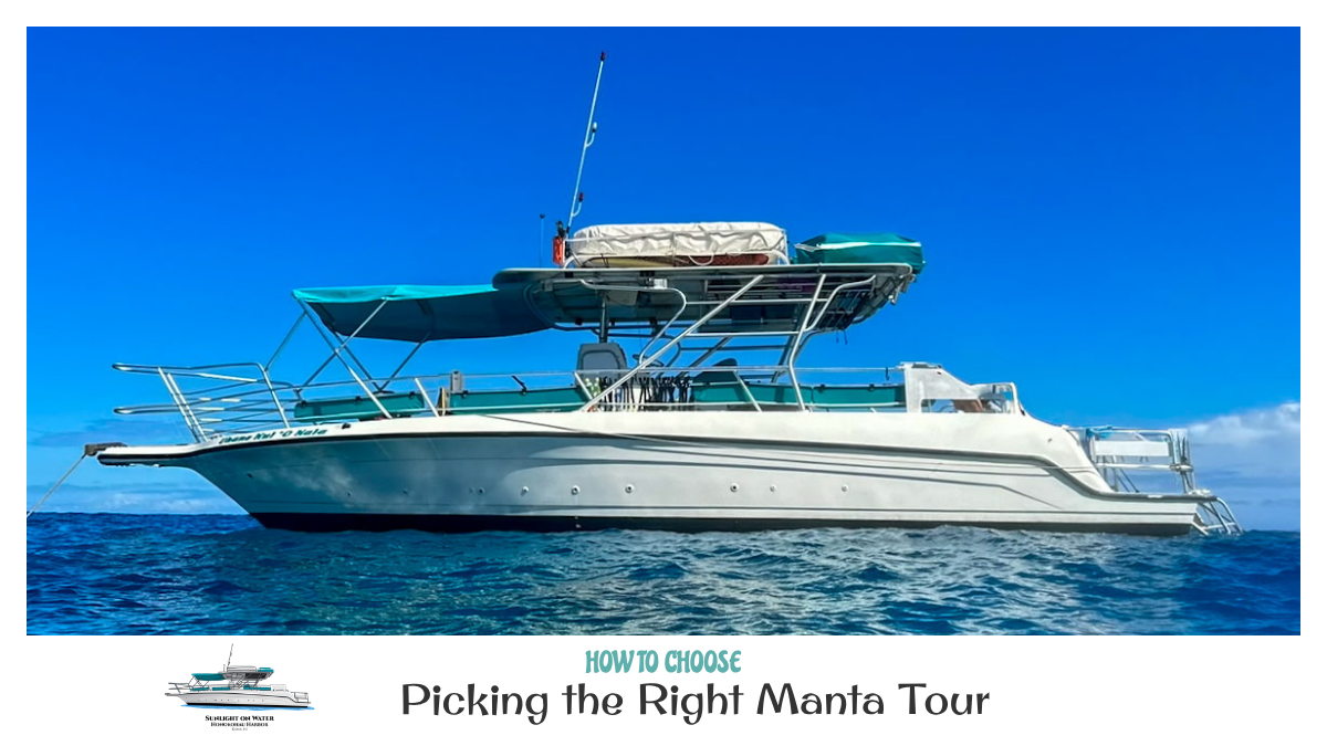 Best Kona Manta Ray Tour Operator